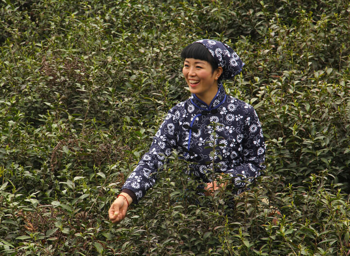 伊人app淫直播永久 热门10